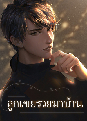 ลูกเขยรวยมาบ้าน