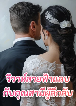 วิวาห์สายฟ้าแลบ กับคุณสามีผู้ลึกลับ